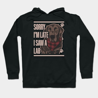 Sorry I'm Late I Saw A Lab Chocolate Labrador Retriever Hoodie